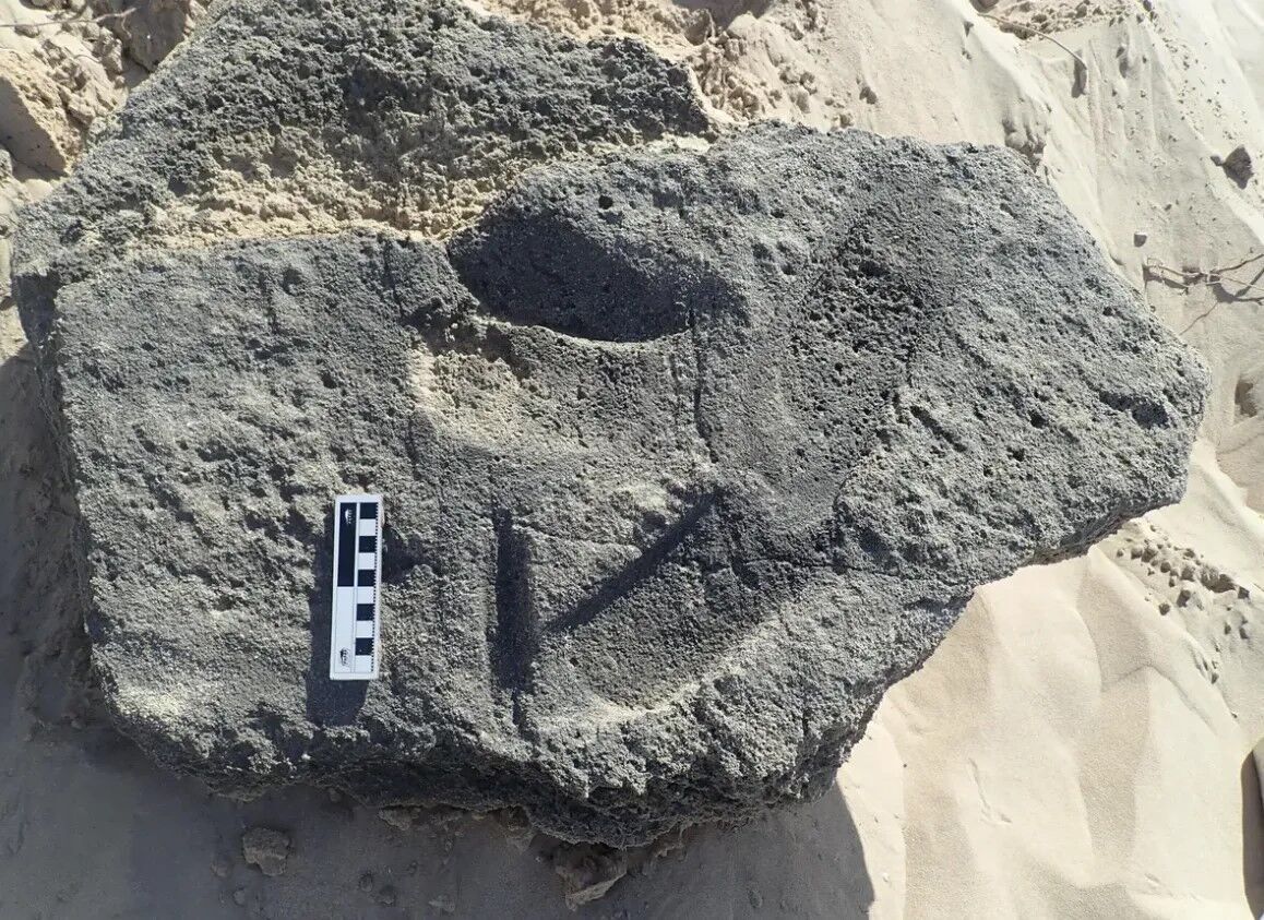Люди могли носить обувь еще 148 тыс. лет назад: найдены следы