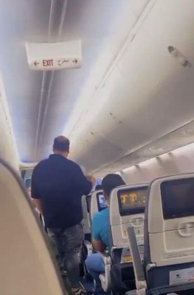 Медведь вырвался из контейнера на борту самолета и испугал пассажиров. Видео