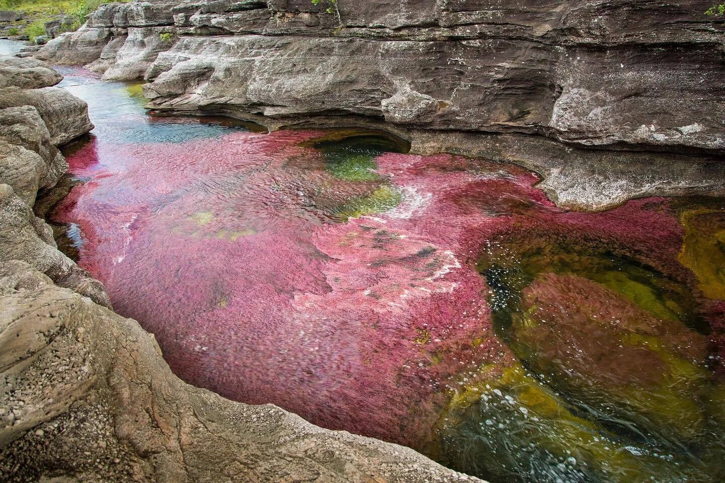 ''Жидкая радуга'': где можно увидеть разноцветную реку и как она выглядит