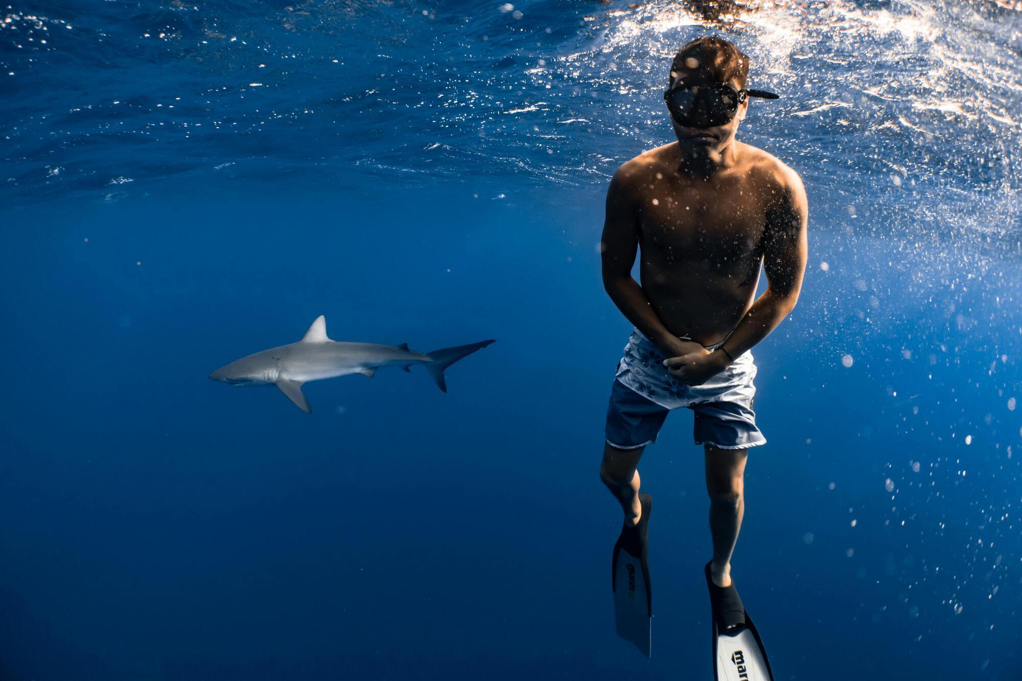 Підводний фотограф, який втратив ногу під час нападу акули, розповів, як захистити себе від хижаків