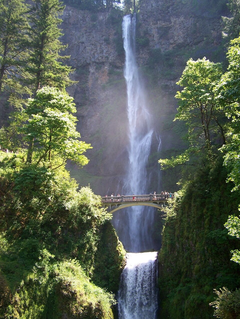 Водопад в Орегоне признан самым фотографическим в США: как он выглядит