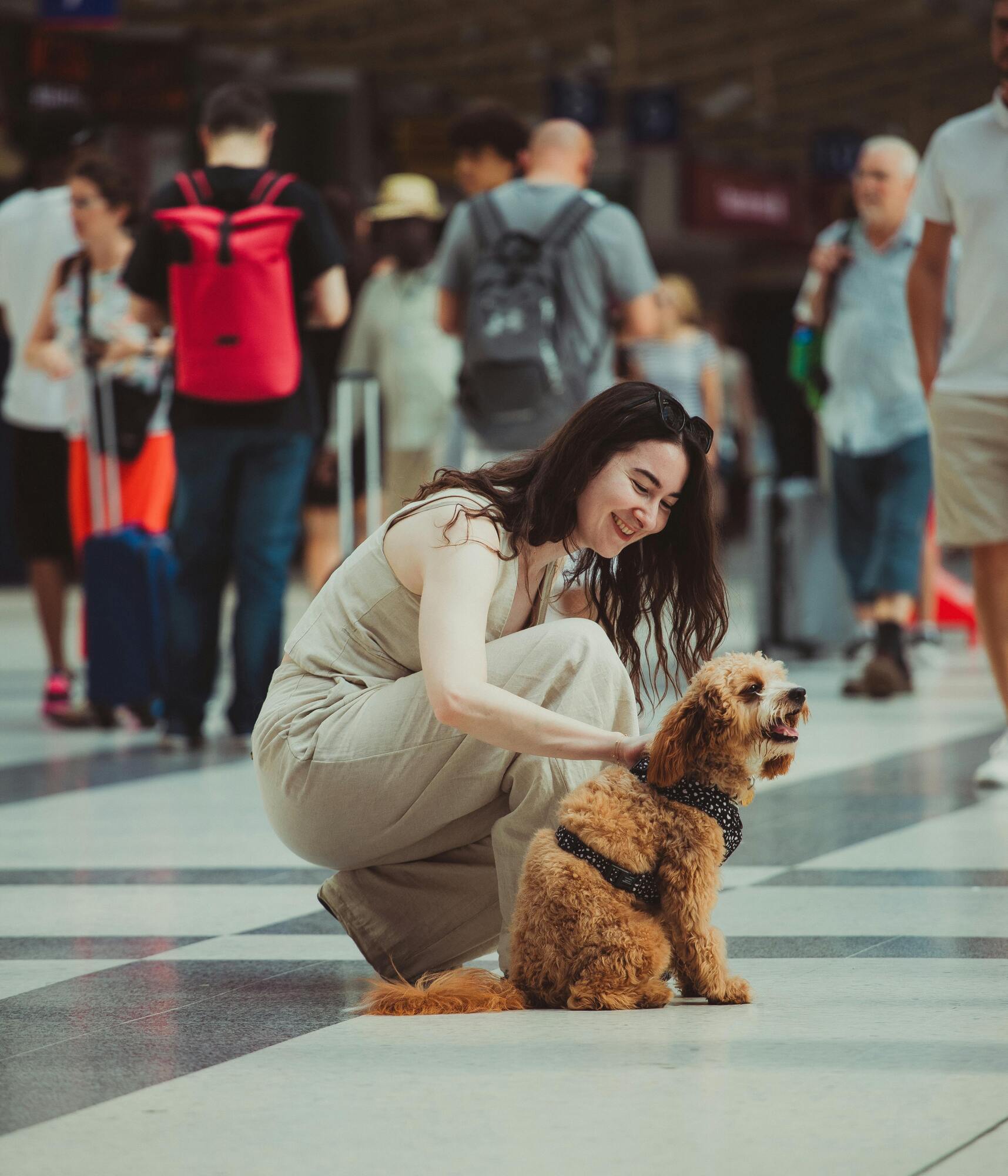 Полет с животным: три совета, которые помогут любимцам и их хозяевам легко перенести рейс