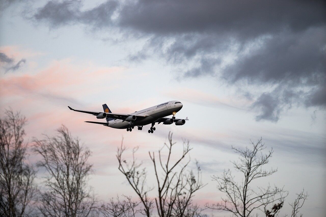 Самолет Lufthansa вернулся в аэропорт после столкновения с птицами