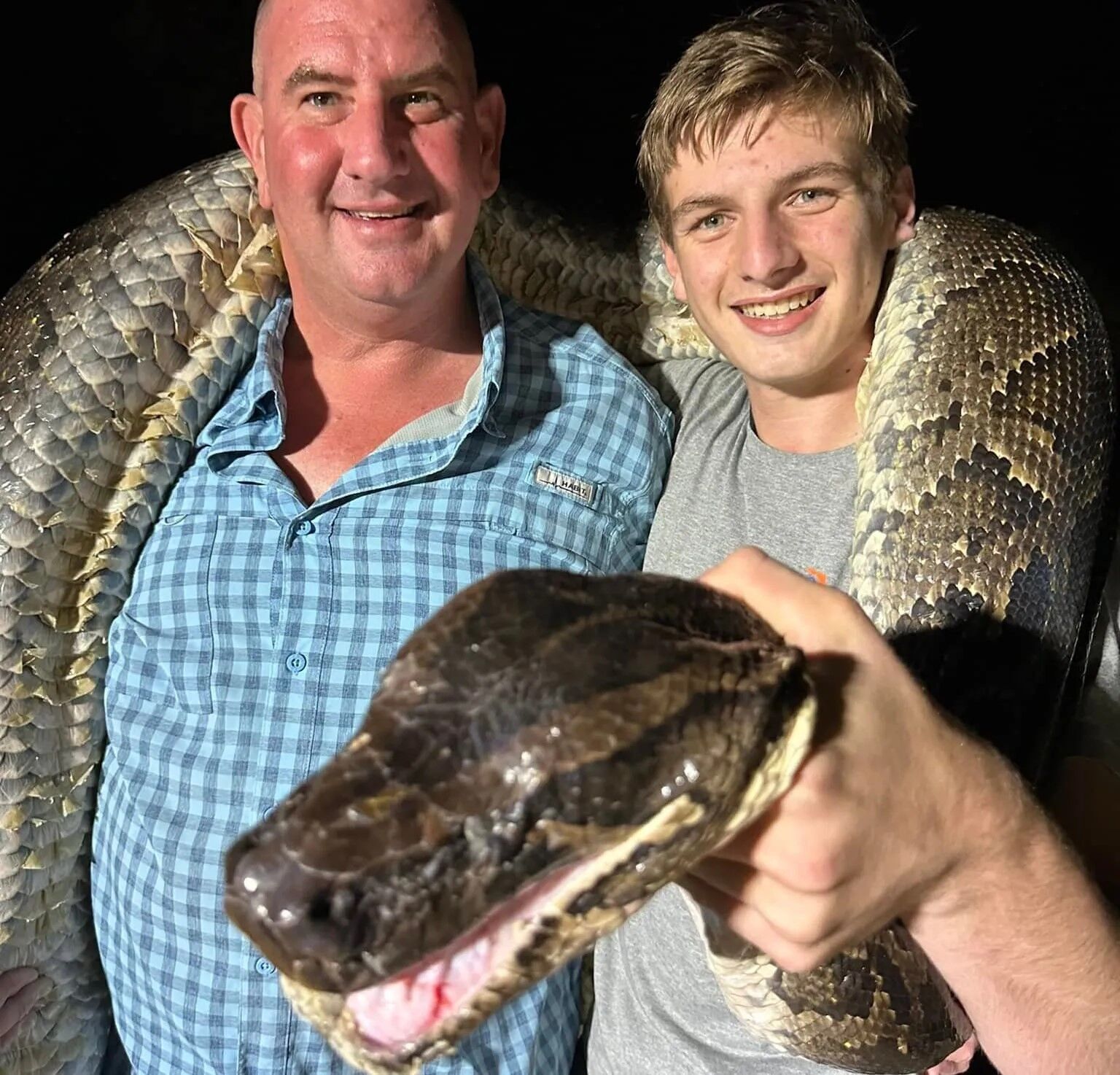 Охотники на змей поймали 17-футового питона во Флориде, которого сперва приняли за аллигатора