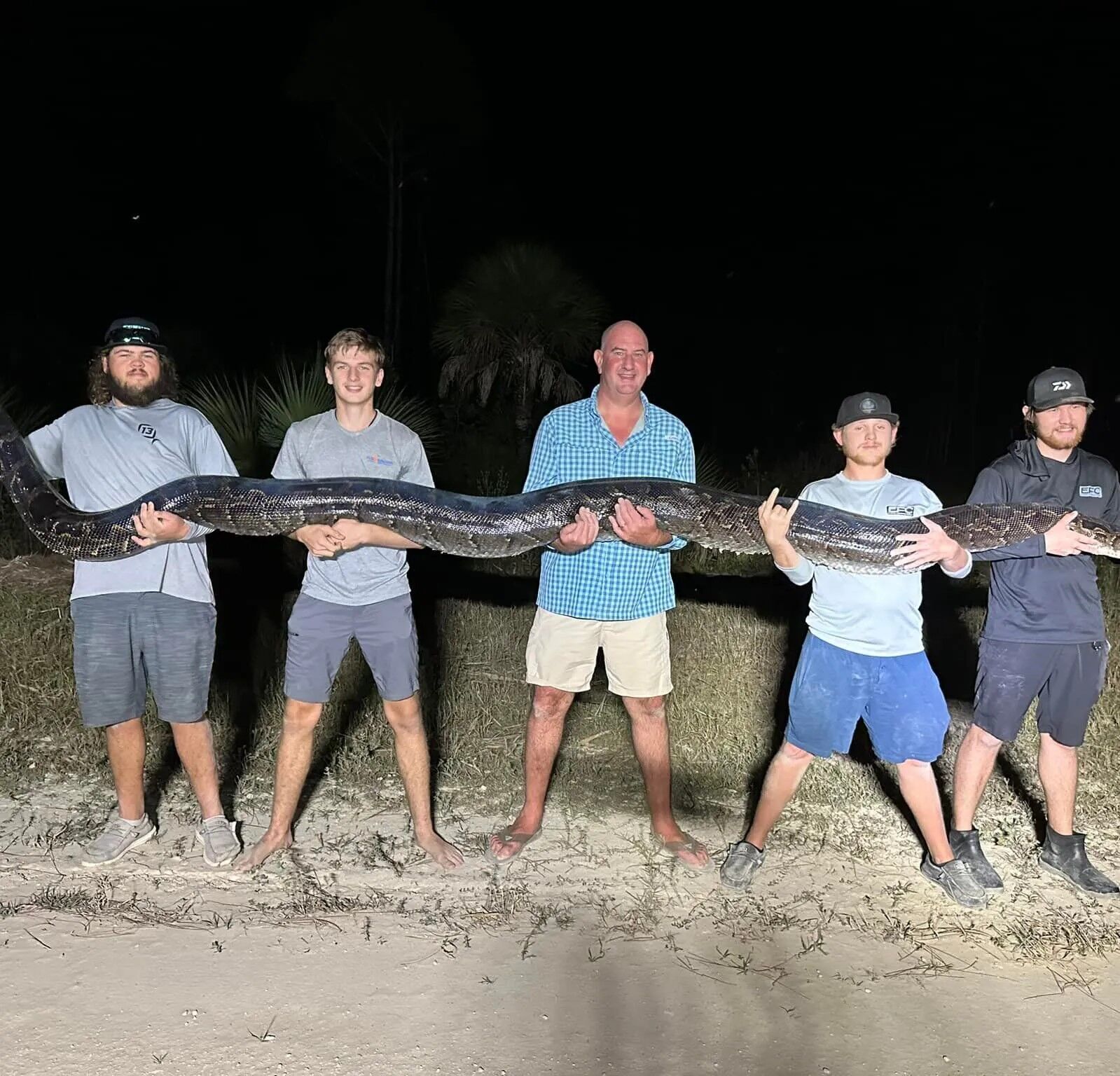 Охотники на змей поймали 17-футового питона во Флориде, которого сперва приняли за аллигатора