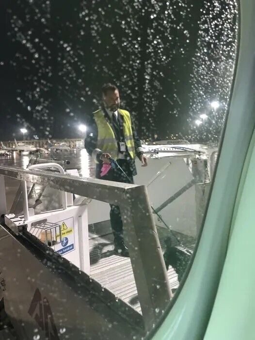 Пилот AirBaltic выгулял собаку пассажирки во время задержки самолета: фото