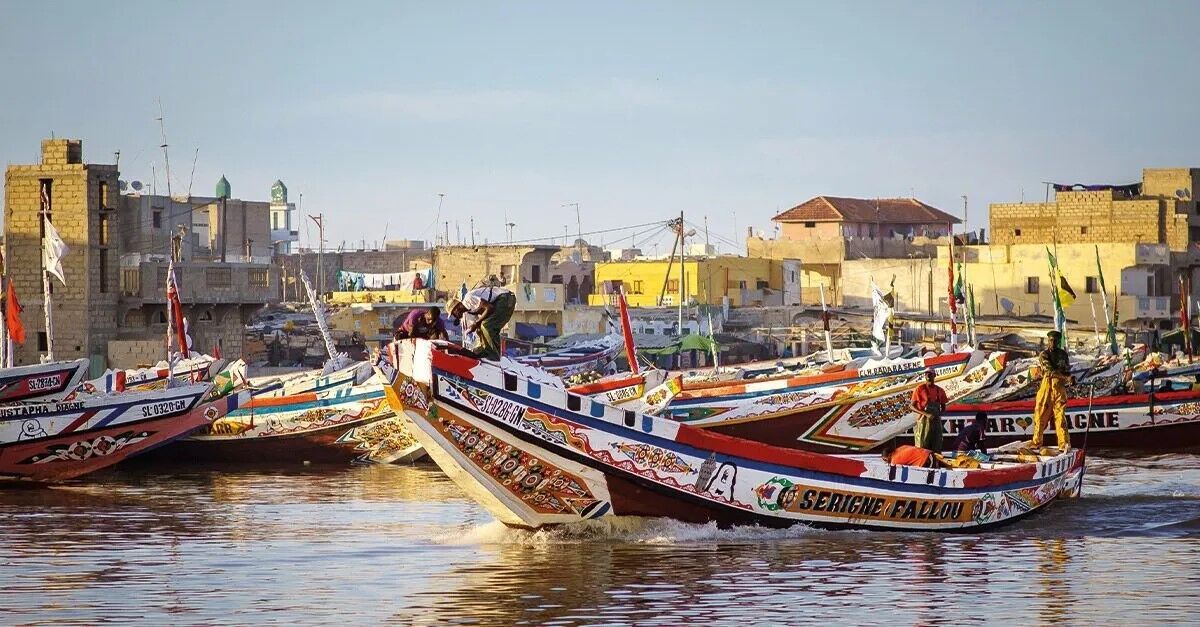 Почему стоит поехать в Сенегал: идеальное место для любителей зимнего солнца