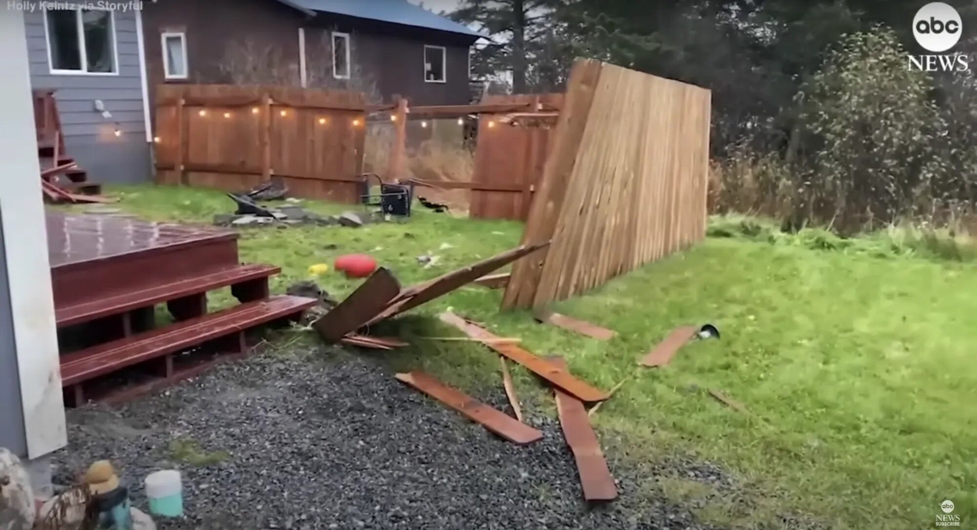 Два диких лося устроили дуэль на заднем дворе дома в Аляске. Видео