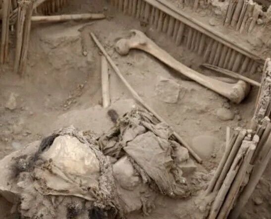 В Перу нашли мумии старше тысячи лет. Фото