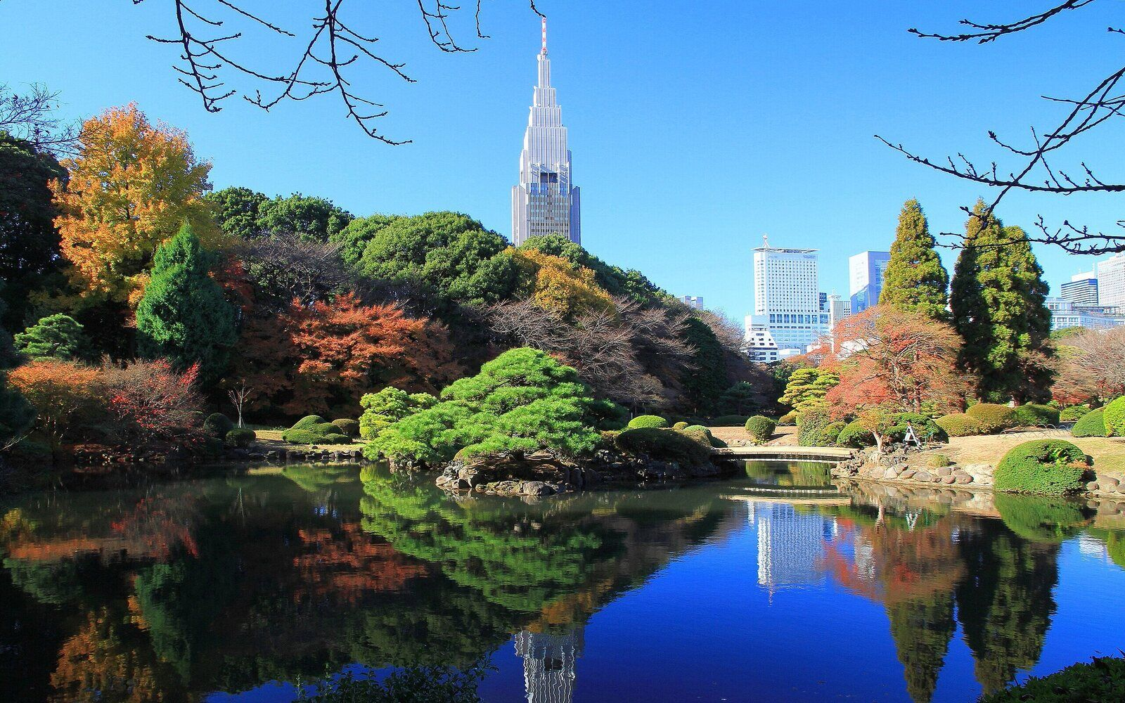 Топ-5 мест в Токио, которые должен знать каждый фотограф