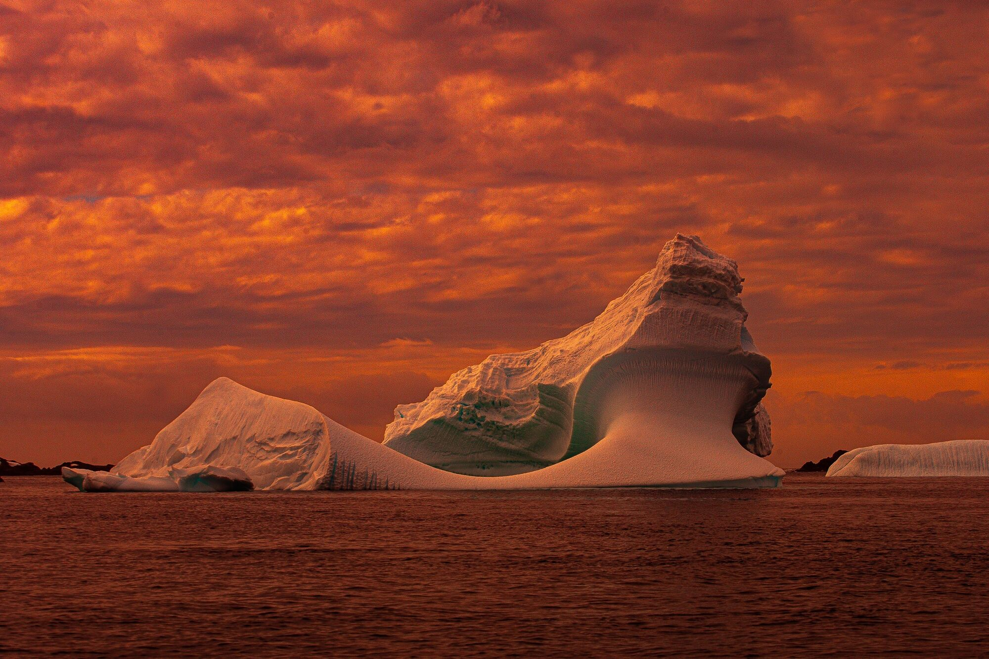 Антарктида вдруг стала марунового цвета: фантастические фото