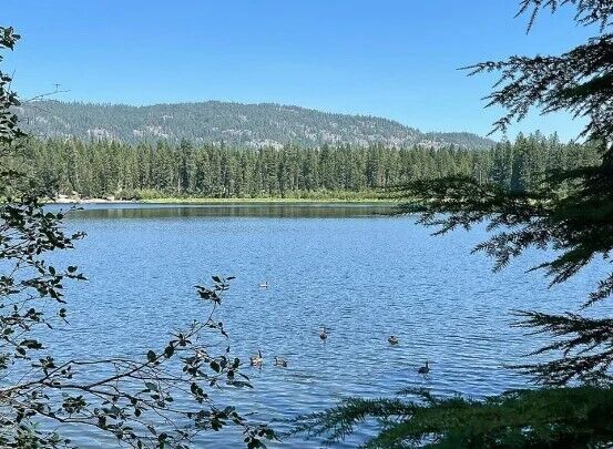 Разные, но потрясающие: три озера, которые нужно посетить в Айдахо