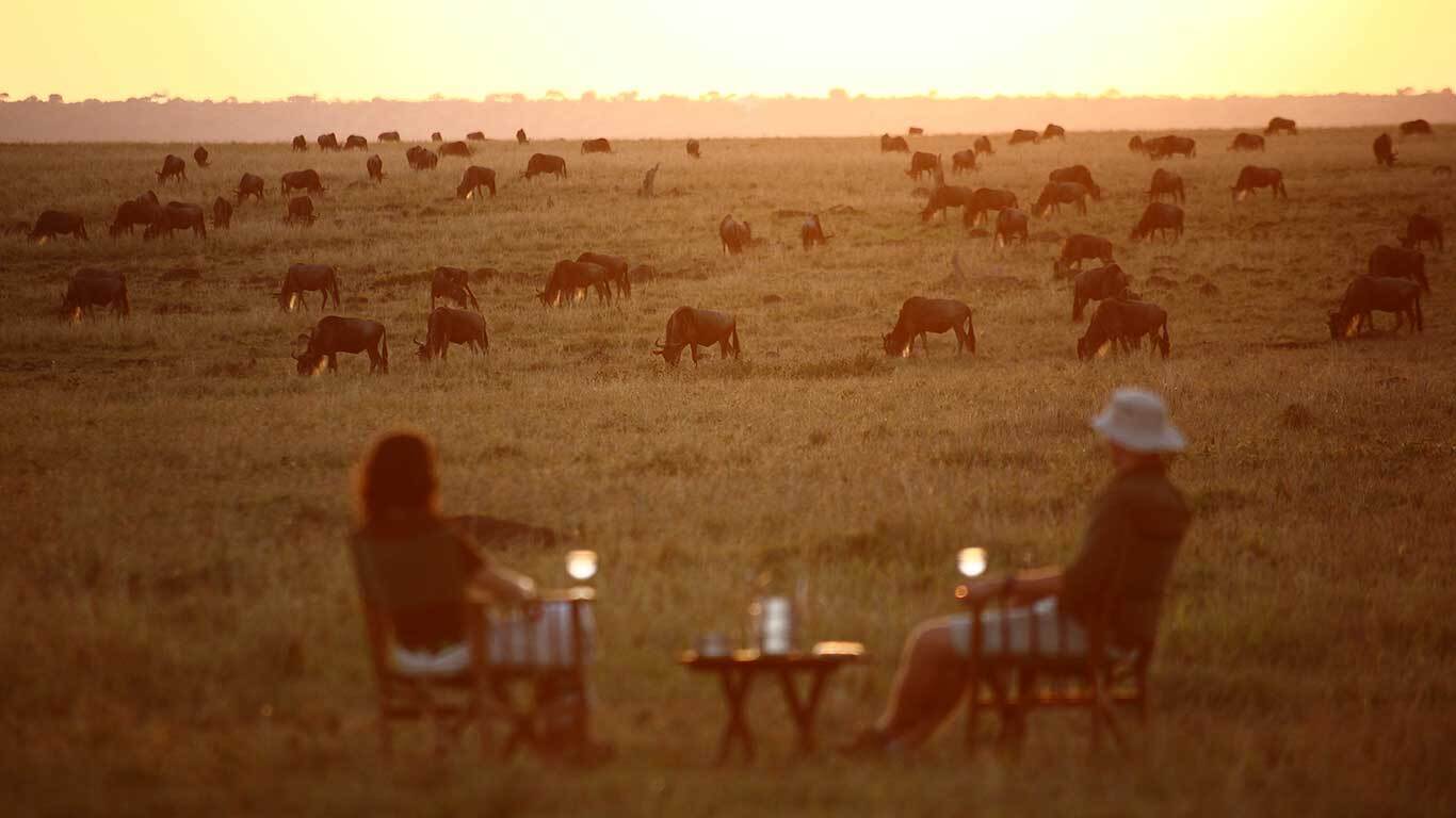 Звездные ночи в компании львов: необычный медовый месяц предлагают провести романтикам в Кении