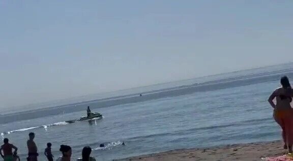 Огромная акула распугала туристов на пляже популярного курорта