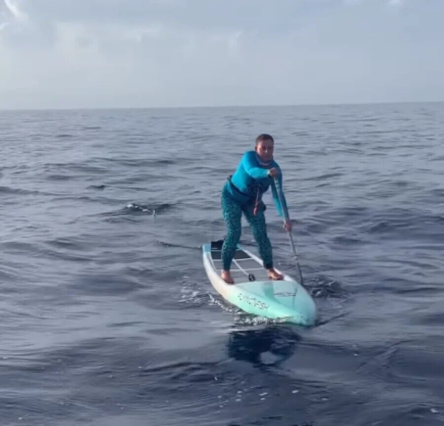 Акула-молот оточила веслярів біля берегів Флориди. Відео