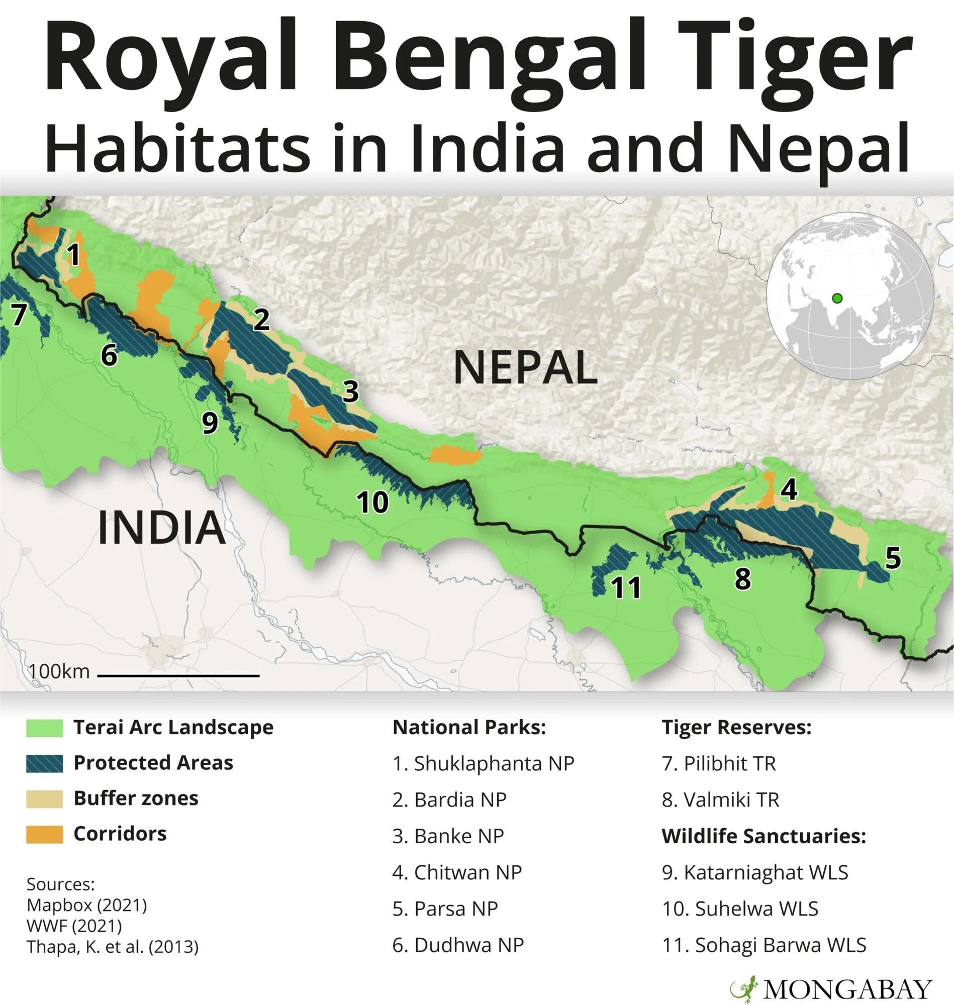Тигри перетинають кордони і потрапляють у небезпеку у Непалі – дослідження