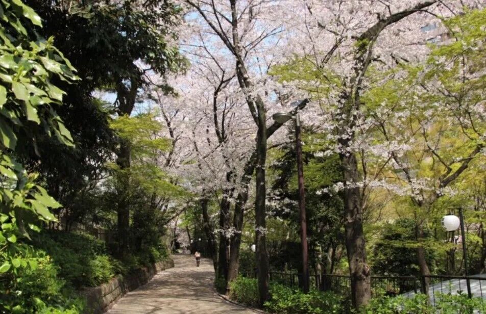Фантастическая красота и райский покой: четыре лучших живописных парка Шинагавы