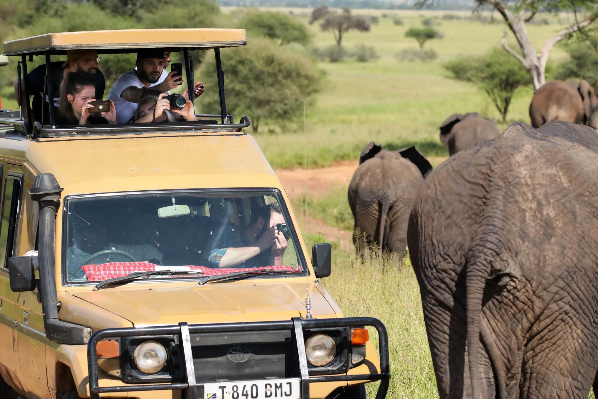Увлекательное сафари в Танзании: на что стоит обратить внимание перед путешествием и во время нее