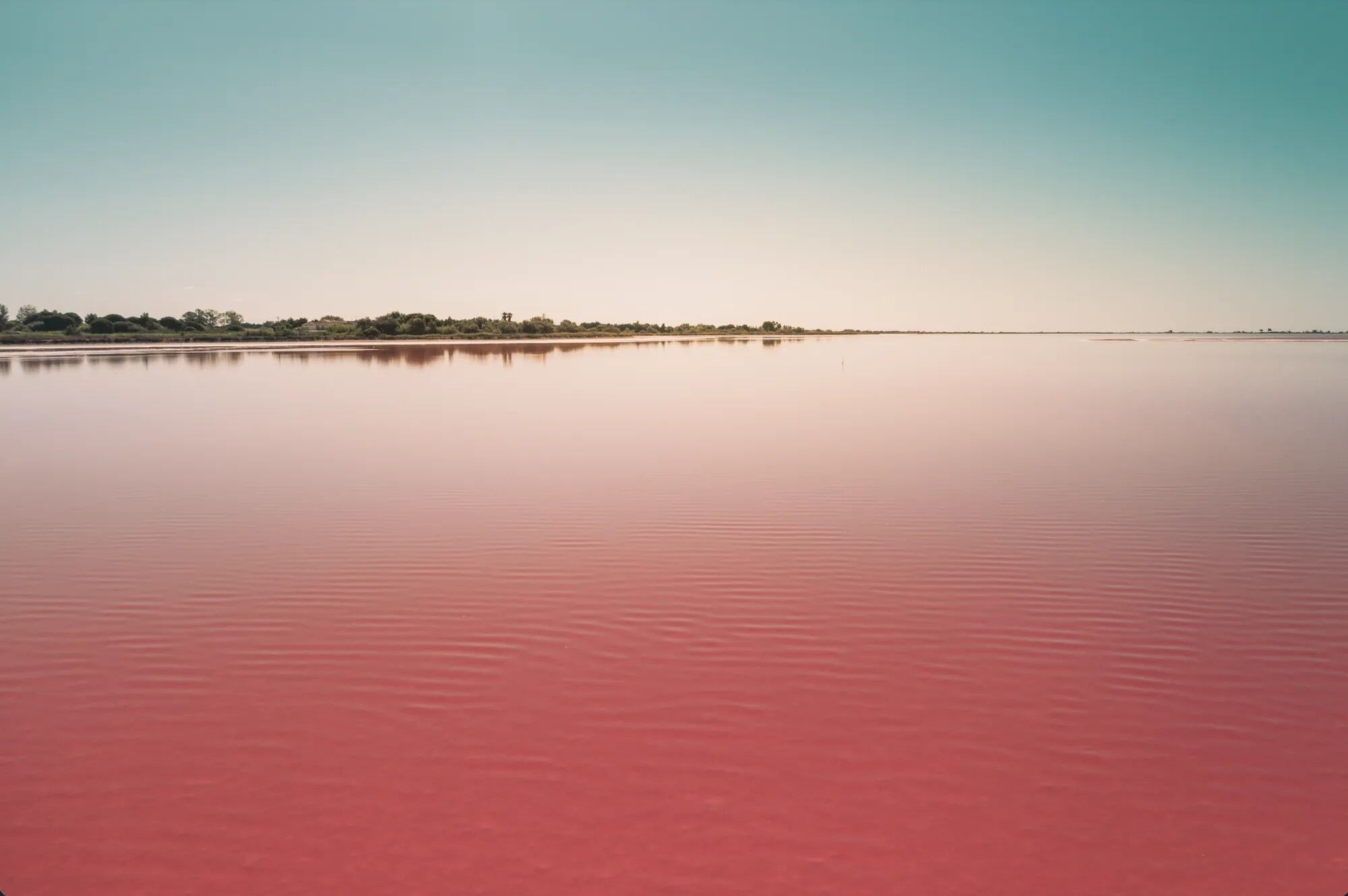 Надихають атмосферою ''Барбі'': 6 найяскравіших рожевих місць планети