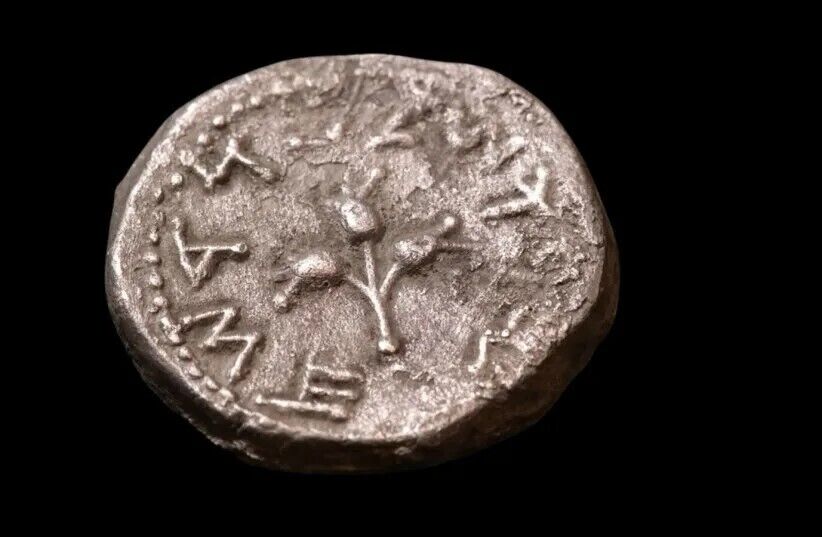 В Иудейской пустыне нашли редкую монету еврейских повстанцев. Фото