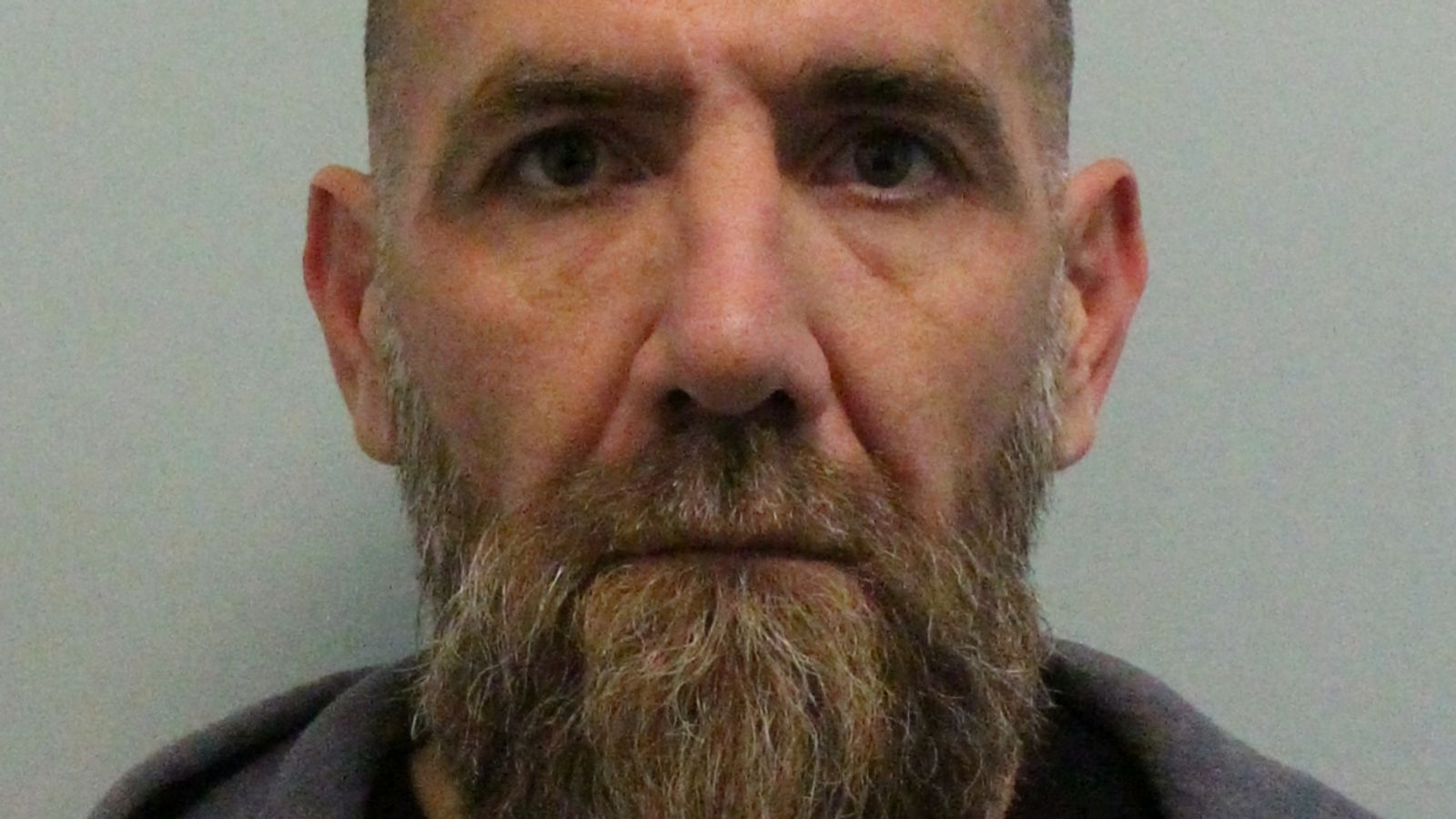 В Великобритании поймали мужчину, пытавшегося перевезти кокаин в корзине своей собаки
