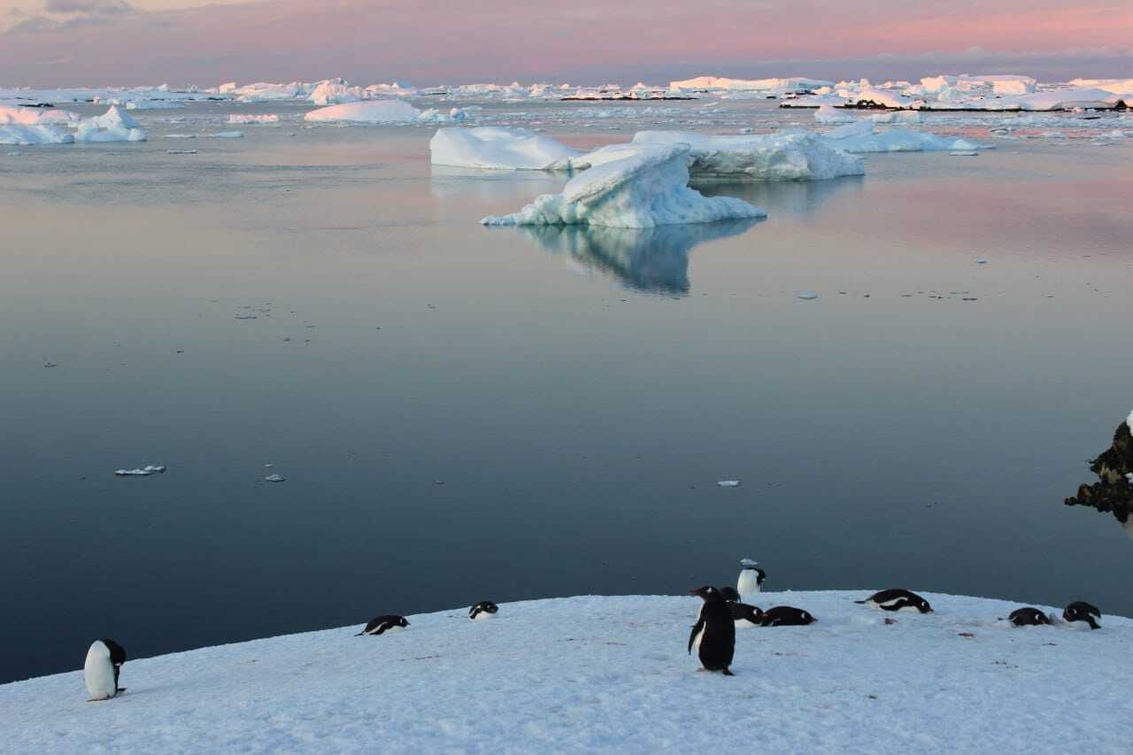 Как выглядят в Антарктиде белые ночи: фантастические фото
