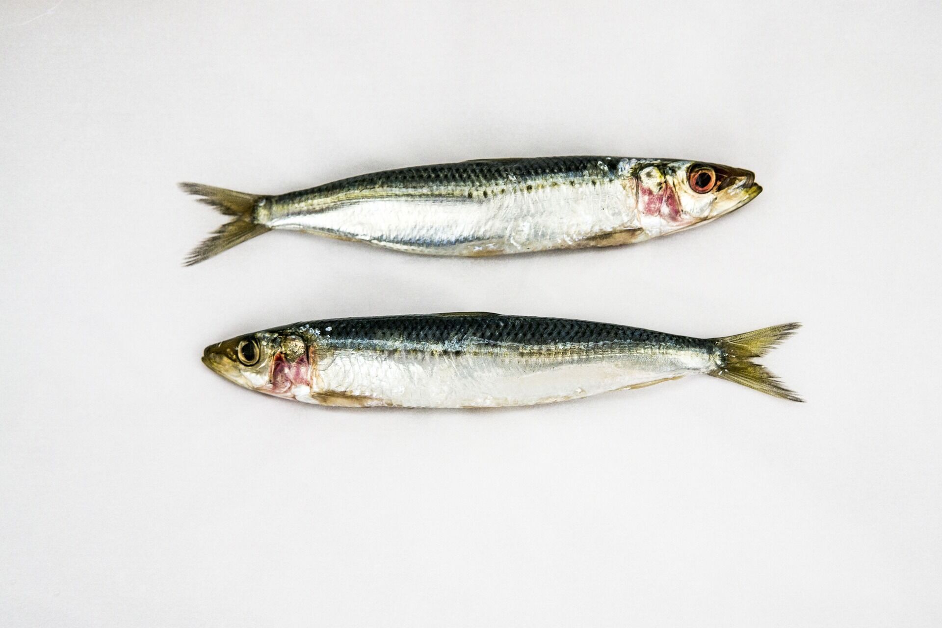 7 видів корисної для здоров'я риби: як її вибрати та приготувати