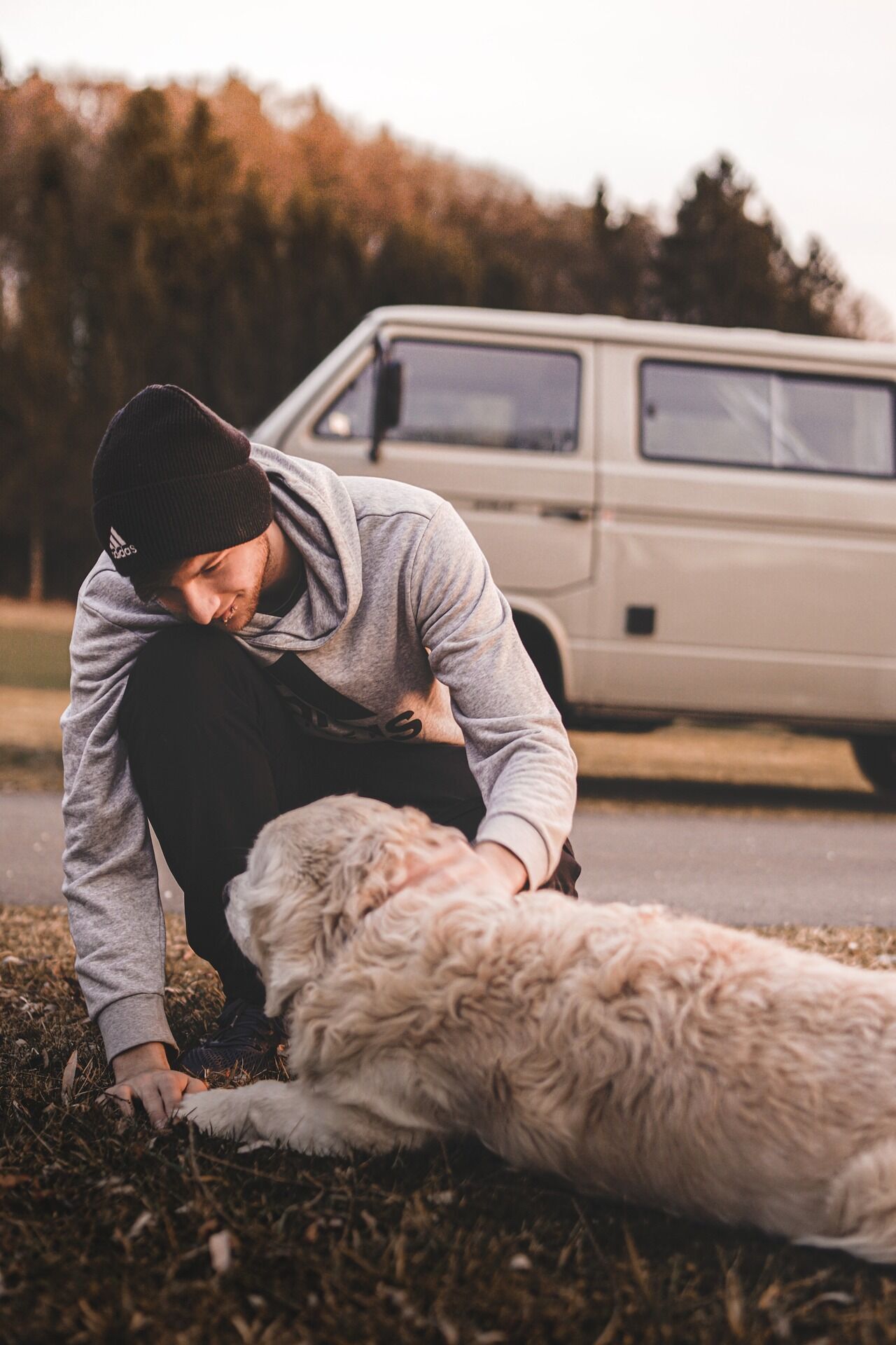Как приучить собаку ездить в автомобиле: 7 советов эксперта