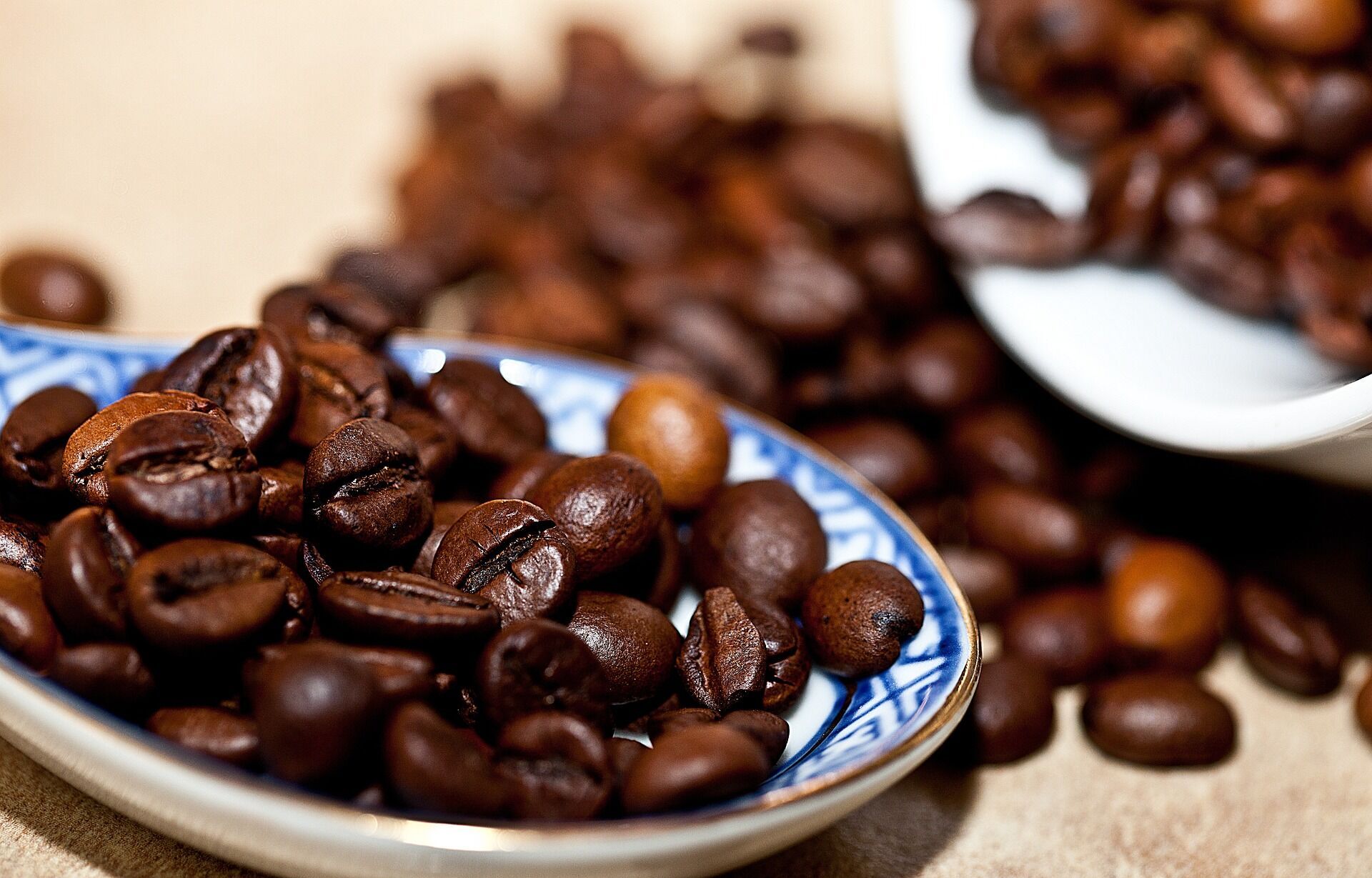 Что вы знаете о робусте: как меняется вкус кофейных зерен в зависимости от высоты над уровнем моря 