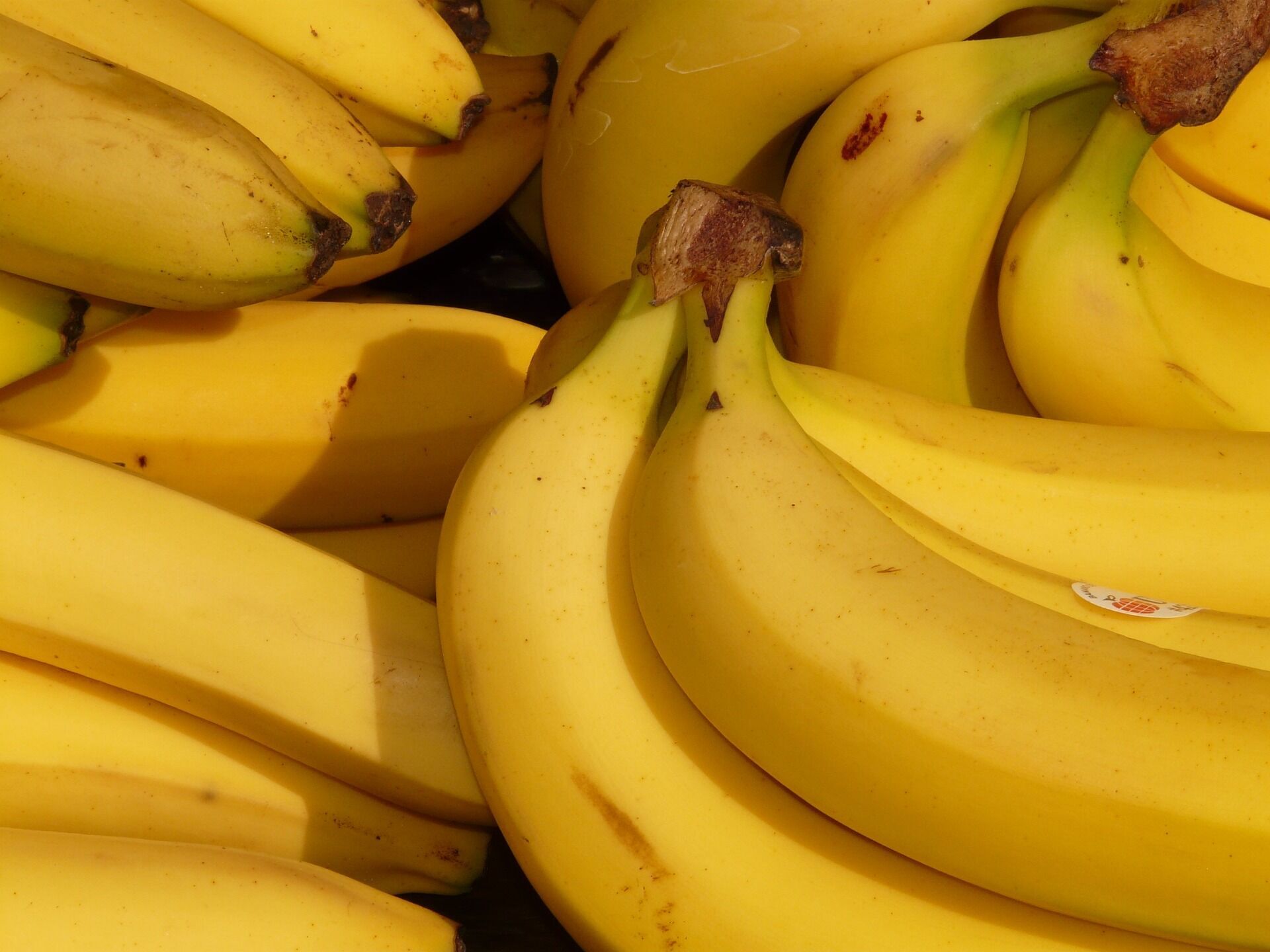 Експерт розповів, як зберігати банани стиглими до 16 днів у холодильнику