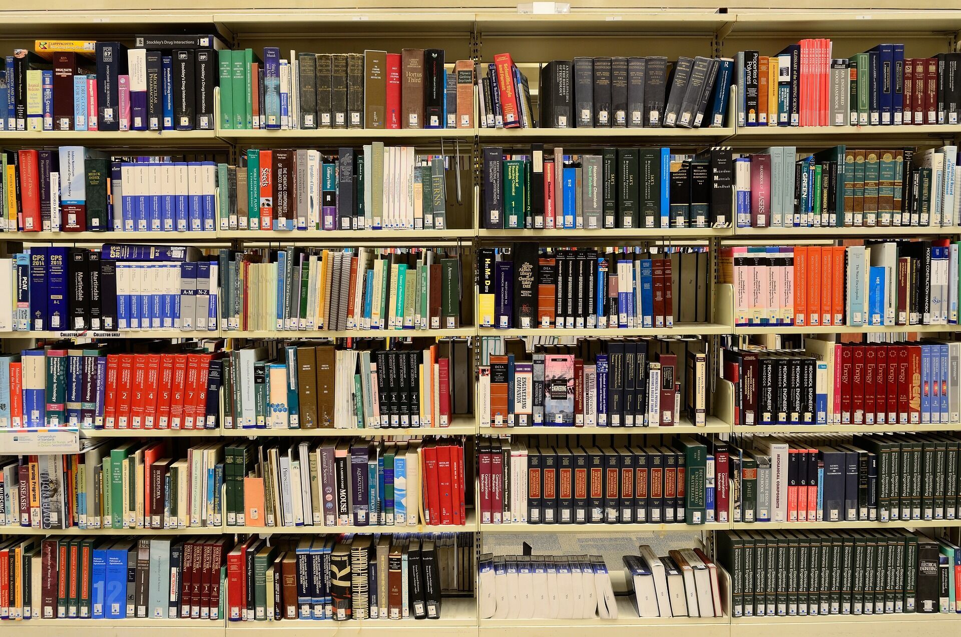 5 ефективних методів для організації порядку на книжковій полиці