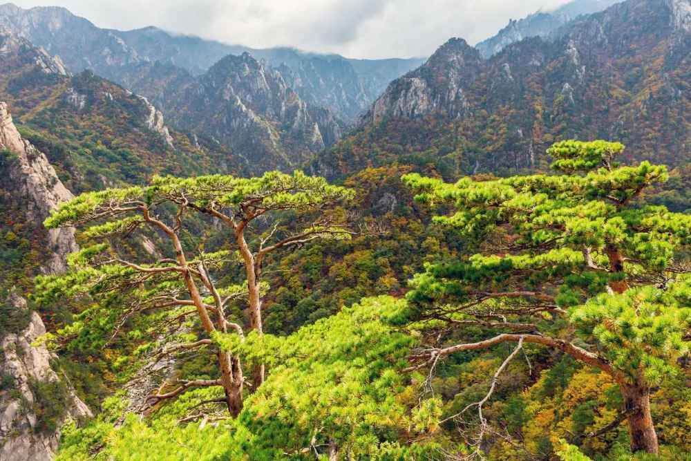 Топ-6 найкращих національних парків Південної Кореї