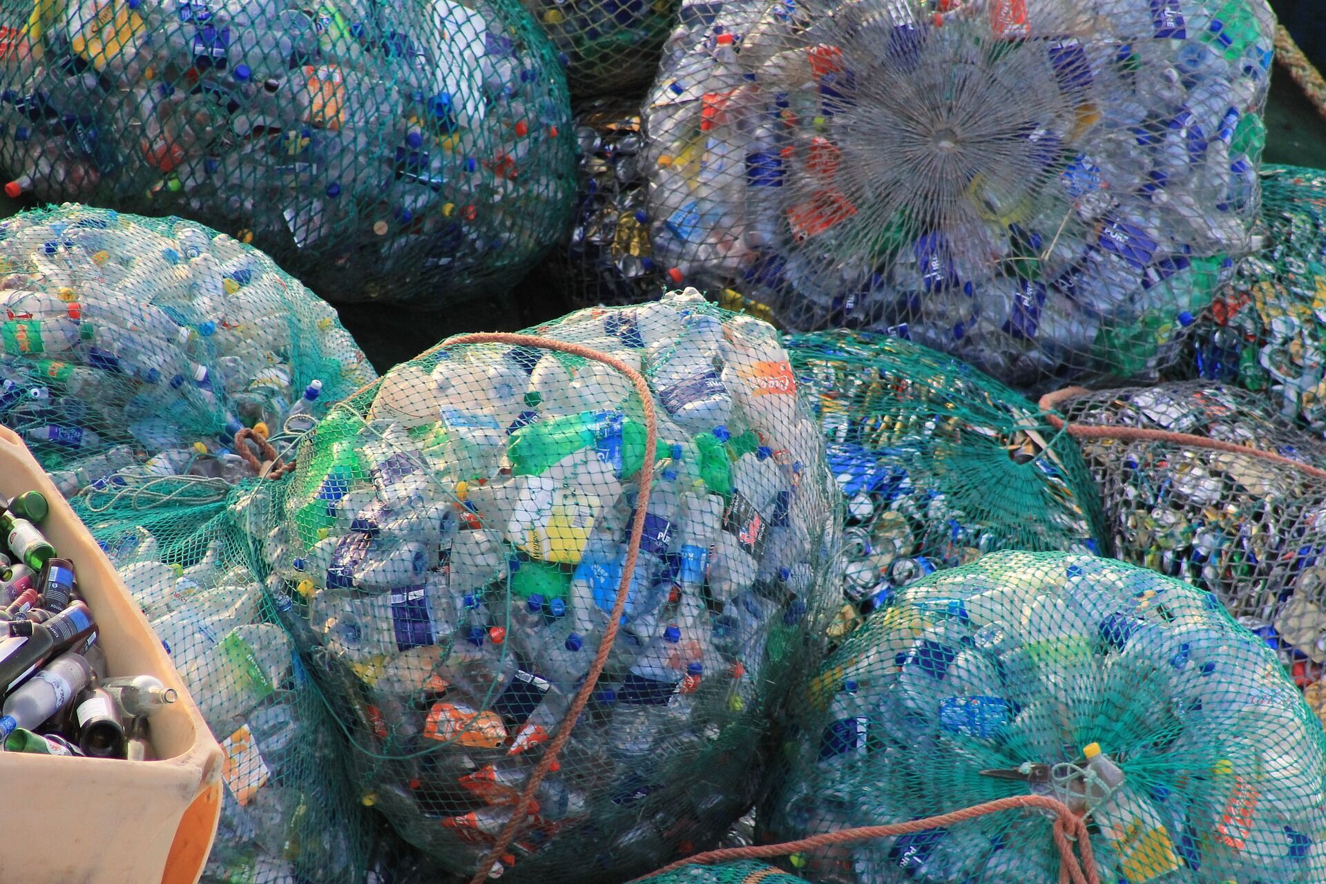 Откажитесь от ''одноразового'' пластика: 6 советов по сокращению ежедневных бытовых отходов 