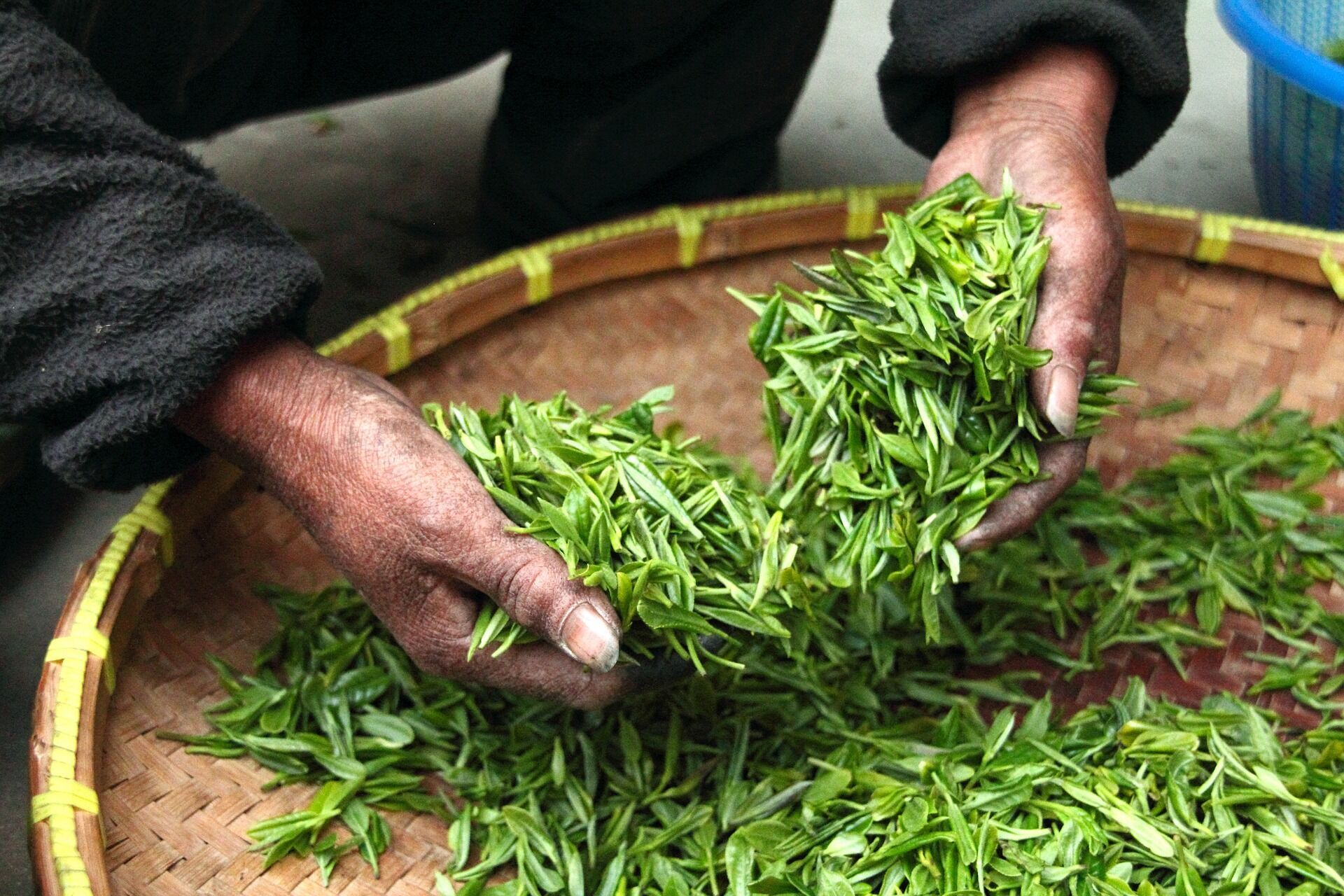 Сколько стоят 5 самых дорогих сортов чая в мире: цены вас удивят