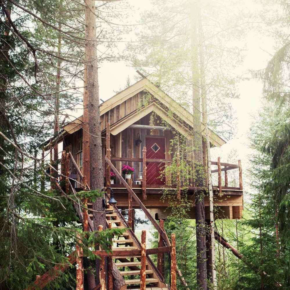 Краєвиди на 360°: в Норвегії туристам пропонують зупинитися в будиночку на дереві