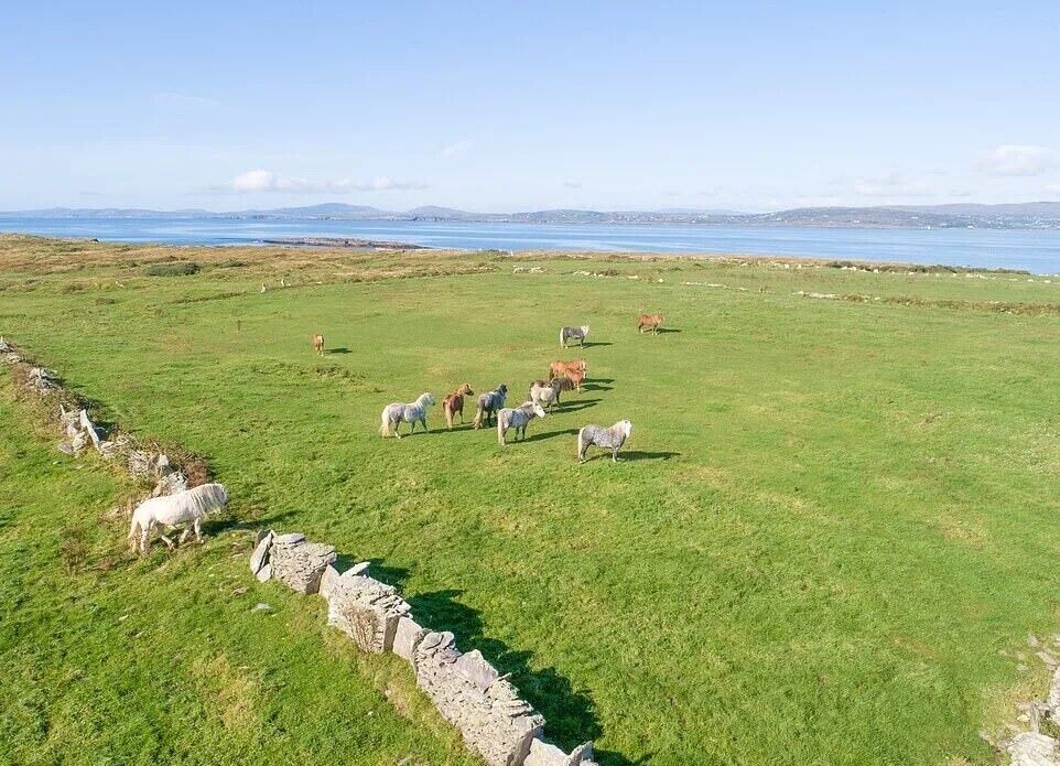 Сказочный остров у побережья Ирландии был выставлен на продажу по цене среднего дома в Лондоне. Фото