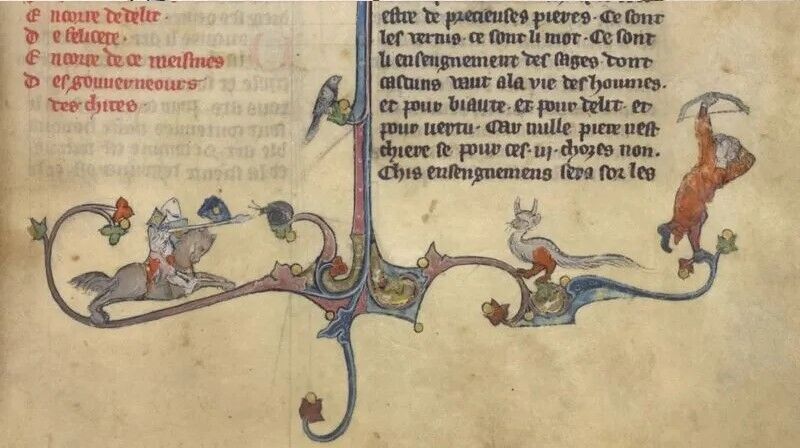 Бойові равлики на малюнках: середньовічну загадку досі не можуть розгадати