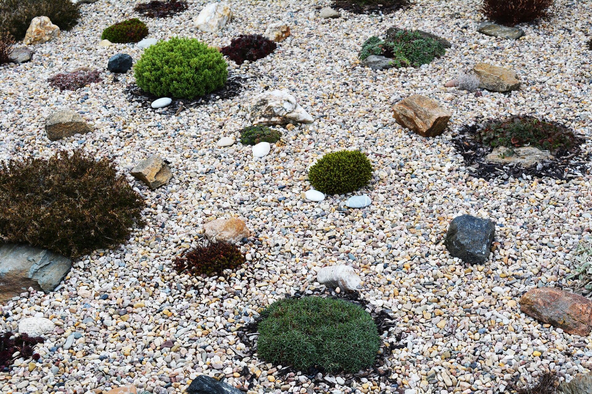Как сделать сад камней своими руками: 5 советов по организации альпинария в собственном дворе 
