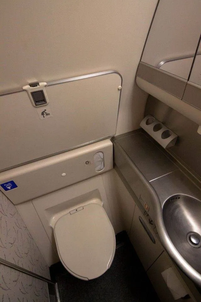 Гігієнічний спосіб сходити до вбиральні в літаку: поради експерта з охорони здоров’я 