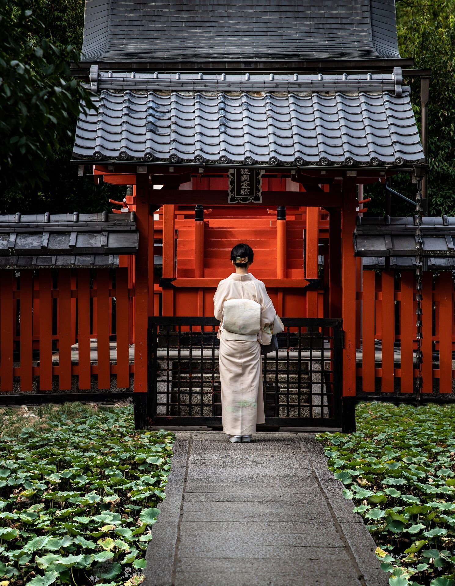 Храмы, сакуры и гейши: краткий путеводитель по удивительному Киото