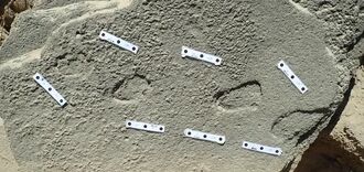 Люди могли носити взуття ще 148 тис. років тому: знайдено сліди
