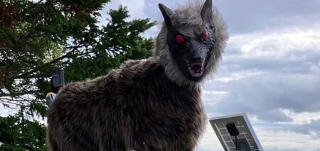 Monster Wolf: в Японії почали відлякувати ведмедів роботами-вовками. Фото 