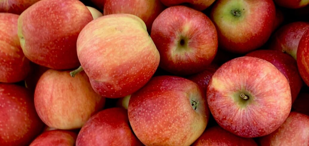 Основні поради щодо збереження свіжості яблук