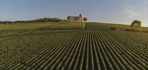 Клад Франции: 8 виноградников, которые обязательно стоит посетить туристам