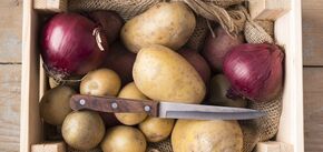Правила правильного зберігання картоплі