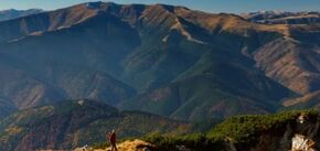 Буде європейський Єллоустоун: у Румунії з’явиться величезний парк дикої природи