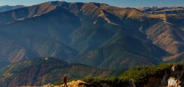 Буде європейський Єллоустоун: у Румунії з’явиться величезний парк дикої природи