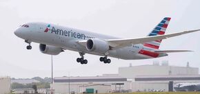 American Airlines обвинили в том, что она 'потеряла' детей во время пересадки
