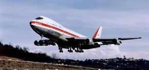 Boeing 747 был вынужден вернуться в Нью-Йорк из-за лошади на борту: видео