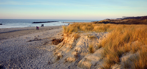 Английский прибрежный город в 2024 году станет большим с одним из самых длинных песчаных участков Европы